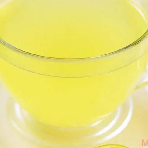 steaming cup of lemon balm tea with fresh lemon and honey on the side, showcasing a healthy weight loss drink